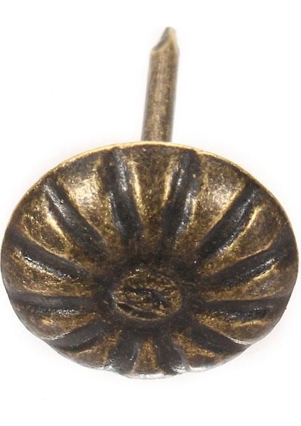 10 Adet Bronz Kabarcık Çivi Dekoratif Kanepe Vezikül Kutusu Kabarcık Tırnak Tac (Yurt Dışından)