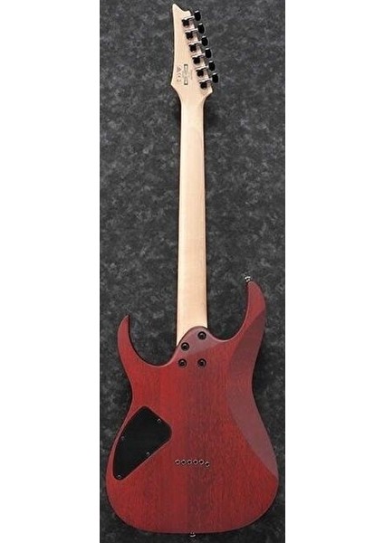 RG421PB-CHF RG Serisi Elektro Gitar fiyatları