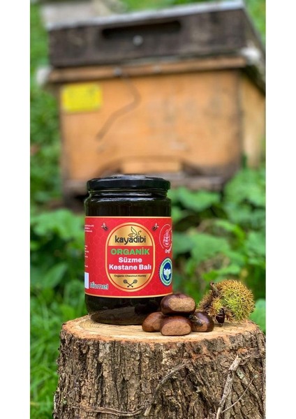 Organik Süzme Kestane Balı 850 gr fiyatları