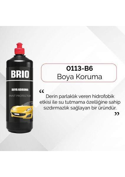 Boya Koruma 1 L