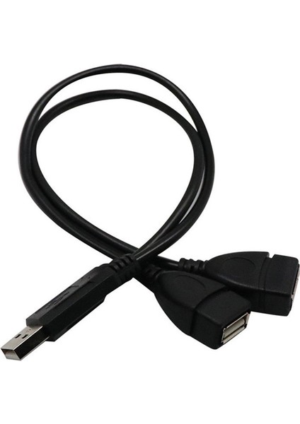 USB 2.0 A Erkek 2 Çift Dişi Jack Y Splitter Hub Güç Kablosu Adaptör Kablosu (Yurt Dışından) modelleri