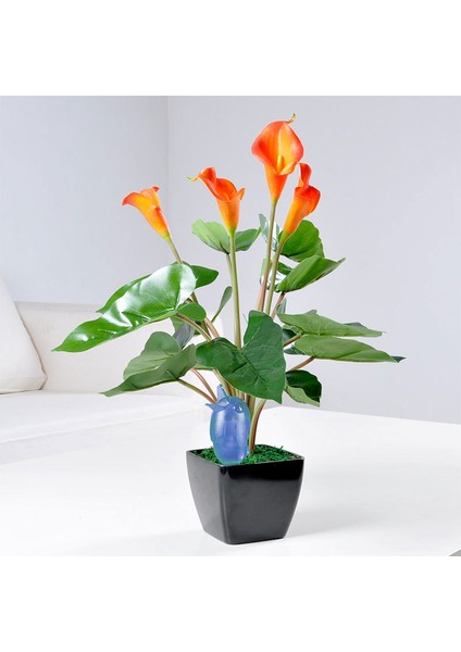 Adet Ev Plastik Kuş Damlatıcı, Otomatik Sulama Cihazı, Otomatik Sulama Cihazı, Su Sızıntı Cihazı 60ML Mavi (Yurt Dışından) fırsatları