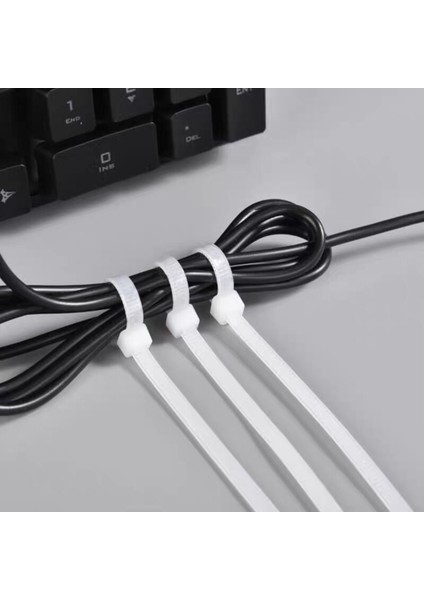 [ayak Izi] Naylon Kablo Bağı Askısı / Ziptie 100 Adet/paket (Inç=4,6,8,10,12) (MM=100,150,200,250,300) (Yurt Dışından) indirimleri