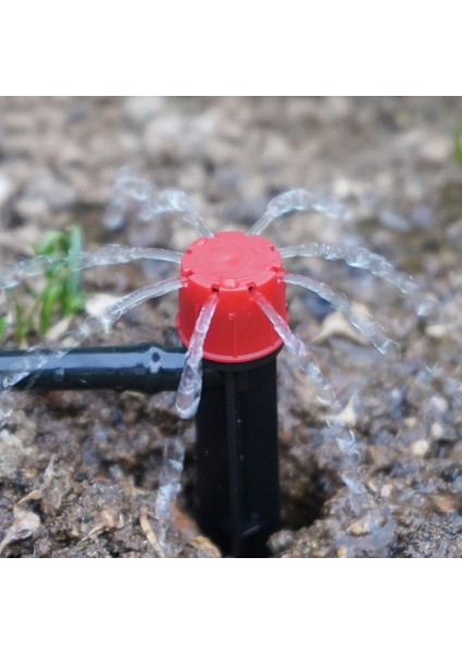 49.2ft 1/4 Inç Hortum Damla Sulama Sistemi Kiti Mini Akış Damlatıcı (Yurt Dışından) indirimleri