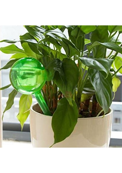 Adet Bahçe Sulama Küreleri Otomatik Sulama Küreleri Bitki Kendinden Sulama Ampul (Şeffaf ve Yeşil) (Yurt Dışından) indirimleri