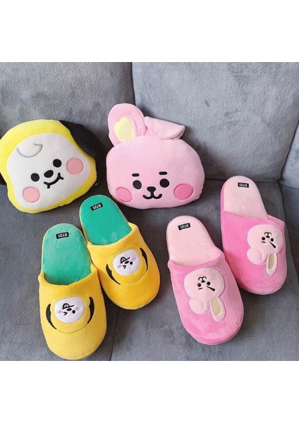 Kpop Bts BT21 Yaz Ev Terlik Ayakkabı Peluş Flip Flop (Yurt Dışından) fırsatları