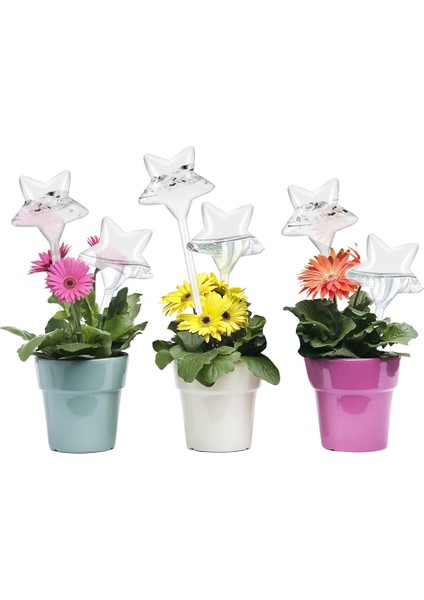 Parça Pvc Bitki Sulama Küreleri Bitki Kendiliğinden Sulama Küreleri Yıldız Şekli Kendiliğinden Sulama Ekici Ekleme Şeffaf Pvc Plastik Kendiliğinden Sulama Küreleri (Yurt Dışından) fiyatları