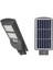 CT-4691 Solar Sokak Armatürü 60W 1