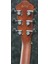 AEG50-IBH Elektro Akustik Gitar 4