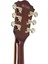 AS93BC-BK Hollow Body Elektro Gitar 5