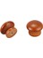 Quanbu 10 Adet/grup Ahşap Kolları Ahşap Dolap Çekmece Kolları Dolap Kapı Çekme Kolu Mobilya Dolapları Ahşap Vidalı Kolları (Yurt Dışından) 1