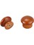 Quanbu 10 Adet/grup Ahşap Kolları Ahşap Dolap Çekmece Kolları Dolap Kapı Çekme Kolu Mobilya Dolapları Ahşap Vidalı Kolları (Yurt Dışından) 2