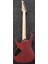 RG421PB-CHF RG Serisi Elektro Gitar 2