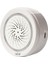 Ersono Sıcaklık Nem Alarm Sensörü Wifi Siren Tuya Akıllı Yaşam Uygulaması Echo Alexa Google Ev Ifttt ile Çalışmak (Yurt Dışından) 1