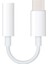 USB Tip C - 3,5 mm Şarj Adaptörü Çoğu C Tipi Cihazla Uyumlu Geniş Uyumluluk Adaptörü (Yurt Dışından) 2