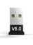 USB Bluetooth 5.0 Kablosuz Dongle Adaptör Adaptörü 5.0 Gerçek Pc Alıcı Stereo (Yurt Dışından) 5