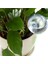 20 Adet Otomatik Sulama Cihazı Küre Tatil Houseplant Saksı Ampuller Bahçe Suluk Çiçek Su Damla Sulama (Yurt Dışından) 2