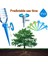 Adet Sulama Spikes Cihazı Otomatik Bitkiler Kendinden Su Damla Sulama Sistemi Bir Güneş Işığı Süper Mağaza (Yurt Dışından) 2