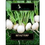 Yeni Koleksiyon