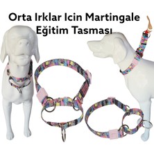 VSLT Handmade Martingale Eğitim Tasma. Martingale dog collar