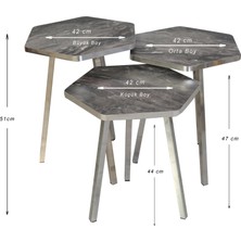 3 LÜ ZİGON SEHPA Vionessa Furniture HEXAGON COFFE TABLE METAL P20 LEGS COVE SILVER COS