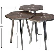 3 LÜ ZİGON SEHPA Vionessa Furniture HEXAGON COFFE TABLE METAL P20 LEGS COVE SILVER AFZ