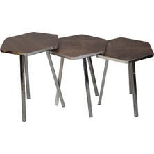 3 LÜ ZİGON SEHPA Vionessa Furniture HEXAGON COFFE TABLE METAL P20 LEGS COVE SILVER AFZ