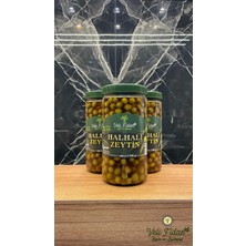 Veli Fidan Hahalı Zeytin 1700GR
