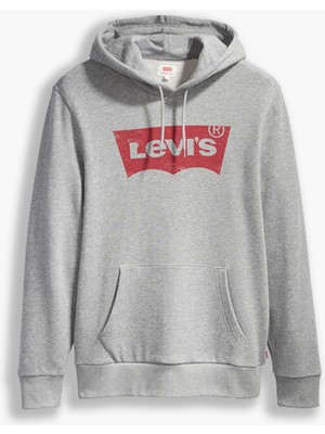 Standard Graphic Hoodie