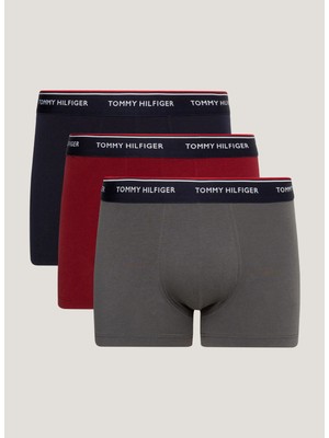 Tommy Hilfiger Mavi Erkek Boxer 1U879038420YY