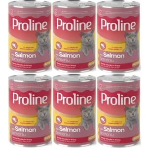 Pro Line Proline Somonlu Yetişkin Kedi Konservesi 400 Gr*6 Adet