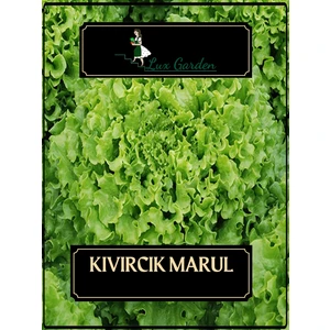 Lux Garden Kıvırcık Marul Tohumu 320 Adet