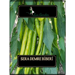 Lux Garden Sera Demre Biberi Tohumu 100 Adet