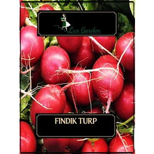 Lux Garden Fındık Turp Tohumu 90 Adet