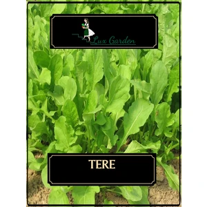 Lux Garden Tere Tohumu 440 Adet
