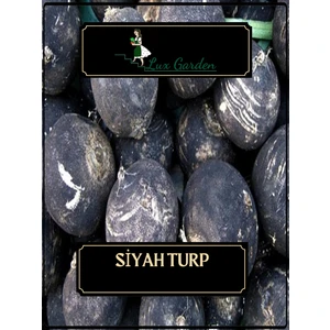 Lux Garden Siyah Turp Tohumu 80 Adet