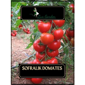Lux Garden Sofralık Domates Tohumu 70 Adet