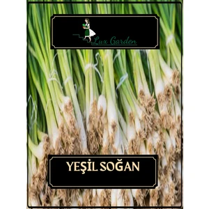 Lux Garden Yeşil Soğan Tohumu 120 Adet