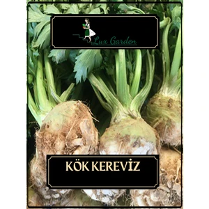 Lux Garden Kök Kereviz Tohumu 420 Adet