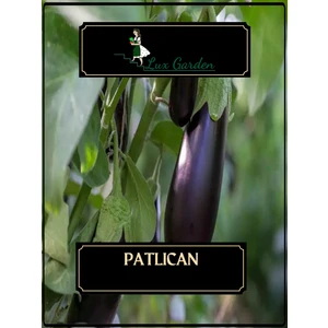 Lux Garden Patlıcan Tohumu 180 Adet