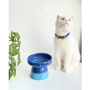 Stilin Bu Kedi Mama Kabı El Yapımı Seramik Gökkuşağı Mavi