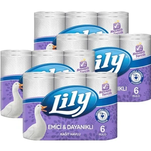 Kağıt Havlu 6'lı 4 Adet