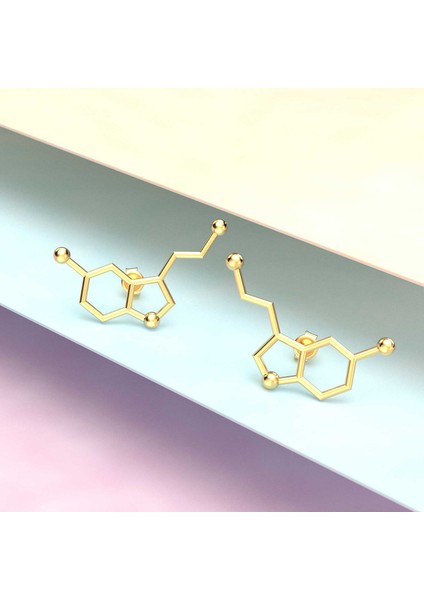 Serotonin Mutluluk Hormonu Altın Kaplama Gümüş Küpe