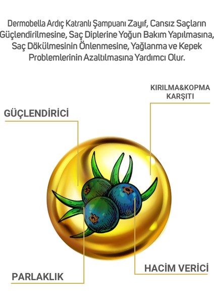 Ardıç Katranlı Şampuan 700 ml fırsatları