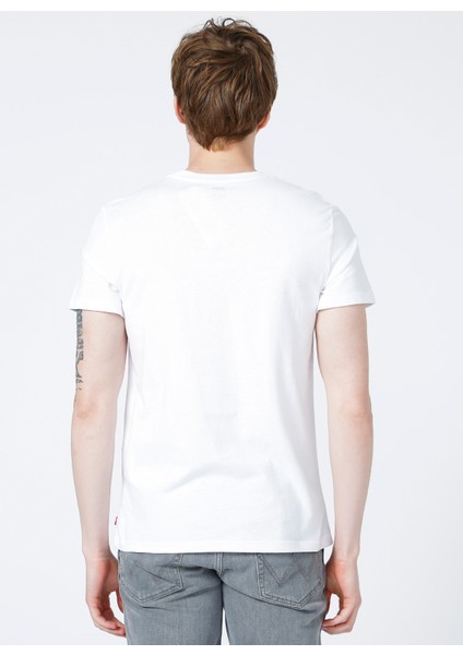 Graphic Set-In Neck Tee