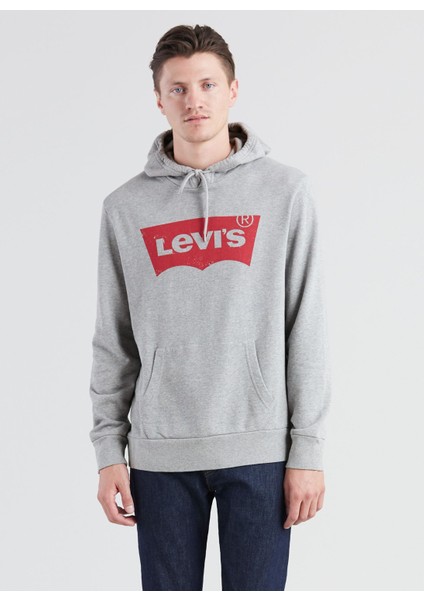 Standard Graphic Hoodie