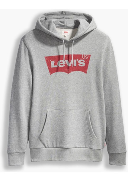 Standard Graphic Hoodie