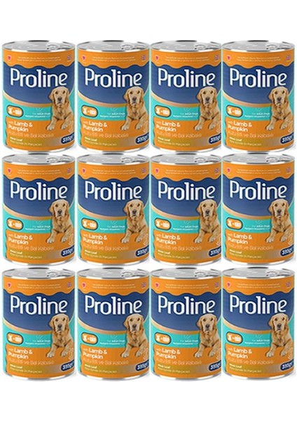 Pro Line Proline Kuzu Etli ve Bal Kabaklı Yetişkin Köpek Konservesi 395 gr