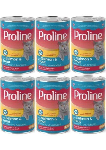 Proline Somonlu ve Alabalıklı Yetişkin Kedi Konservesi 400 Gr*6 Adet