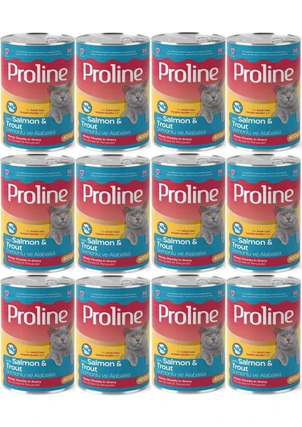 Pro Line Proline Somonlu ve Alabalıklı Yetişkin Kedi Konservesi 400 Gr*12 Adet